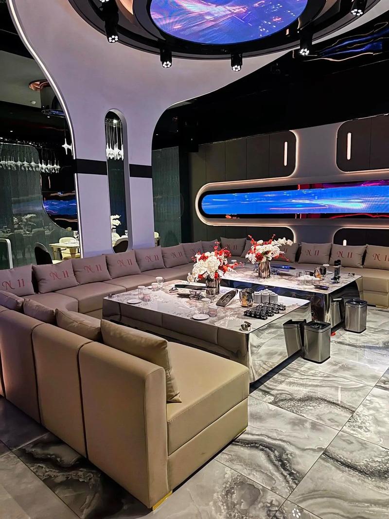 南京商务ktv哪里有优质选择-浦口区ktv预定